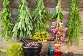 Folk remedies om de potentie te vergroten